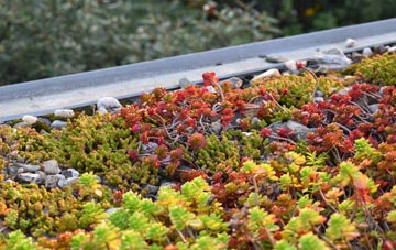 the cost of West Handley green roof installation