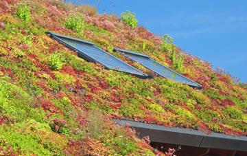 West Handley living roof systems