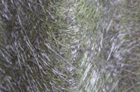 West Handley fibreglass roof work